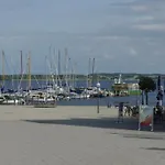 07 Eismoewe Mit Blick Auf Salzhaff Und Ostsee *