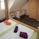 07 Eismoewe Mit Blick Auf Salzhaff Und Ostsee *