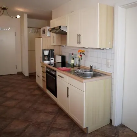 07 Eismoewe Mit Blick Auf Salzhaff Und Ostsee Lejlighed *