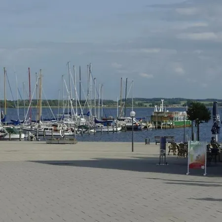 07 Eismöwe Mit Blick Auf Salzhaff Und Ostsee *