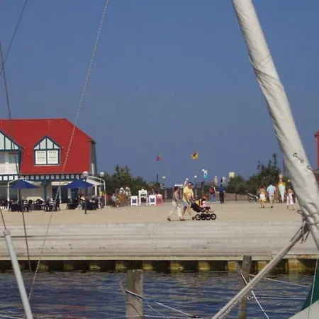 07 Eismoewe Mit Blick Auf Salzhaff Und Ostsee * Rerik