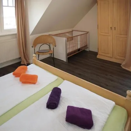 07 Eismoewe Mit Blick Auf Salzhaff Und Ostsee *