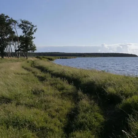 07 Eismoewe Mit Blick Auf Salzhaff Und Ostsee Lejlighed Rerik