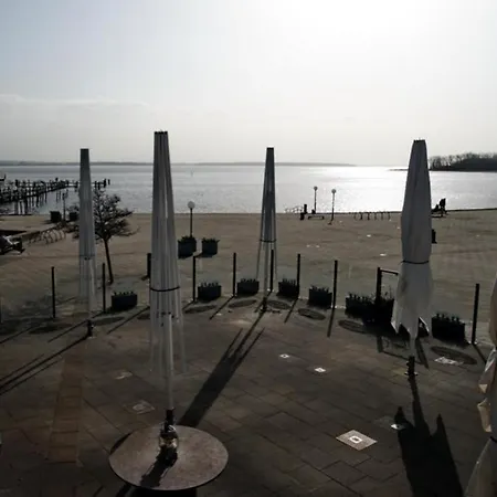 07 Eismoewe Mit Blick Auf Salzhaff Und Ostsee