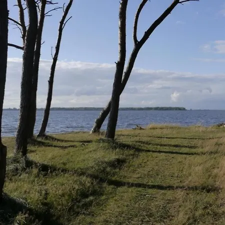07 Eismoewe Mit Blick Auf Salzhaff Und Ostsee