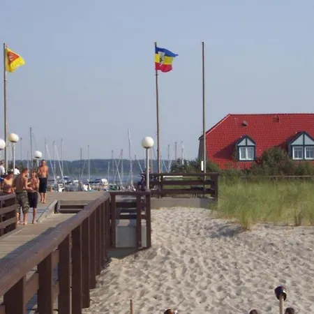 07 Eismöwe Mit Blick Auf Salzhaff Und Ostsee